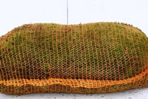 Grøn mos i stor sæk, 8 lag 1,2 m²